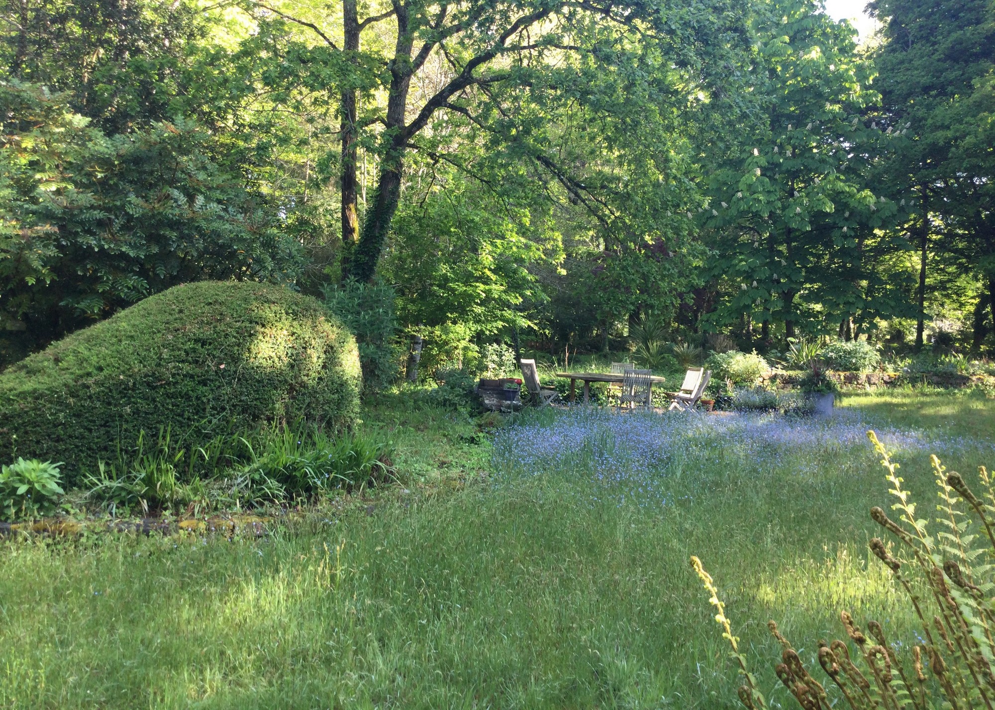 chambre-a-louer-proche-lorient-bois-et-jardin-3