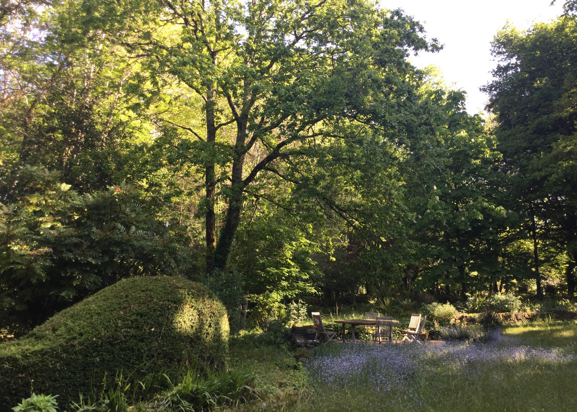 chambre-a-louer-proche-lorient-bois-et-jardin-4