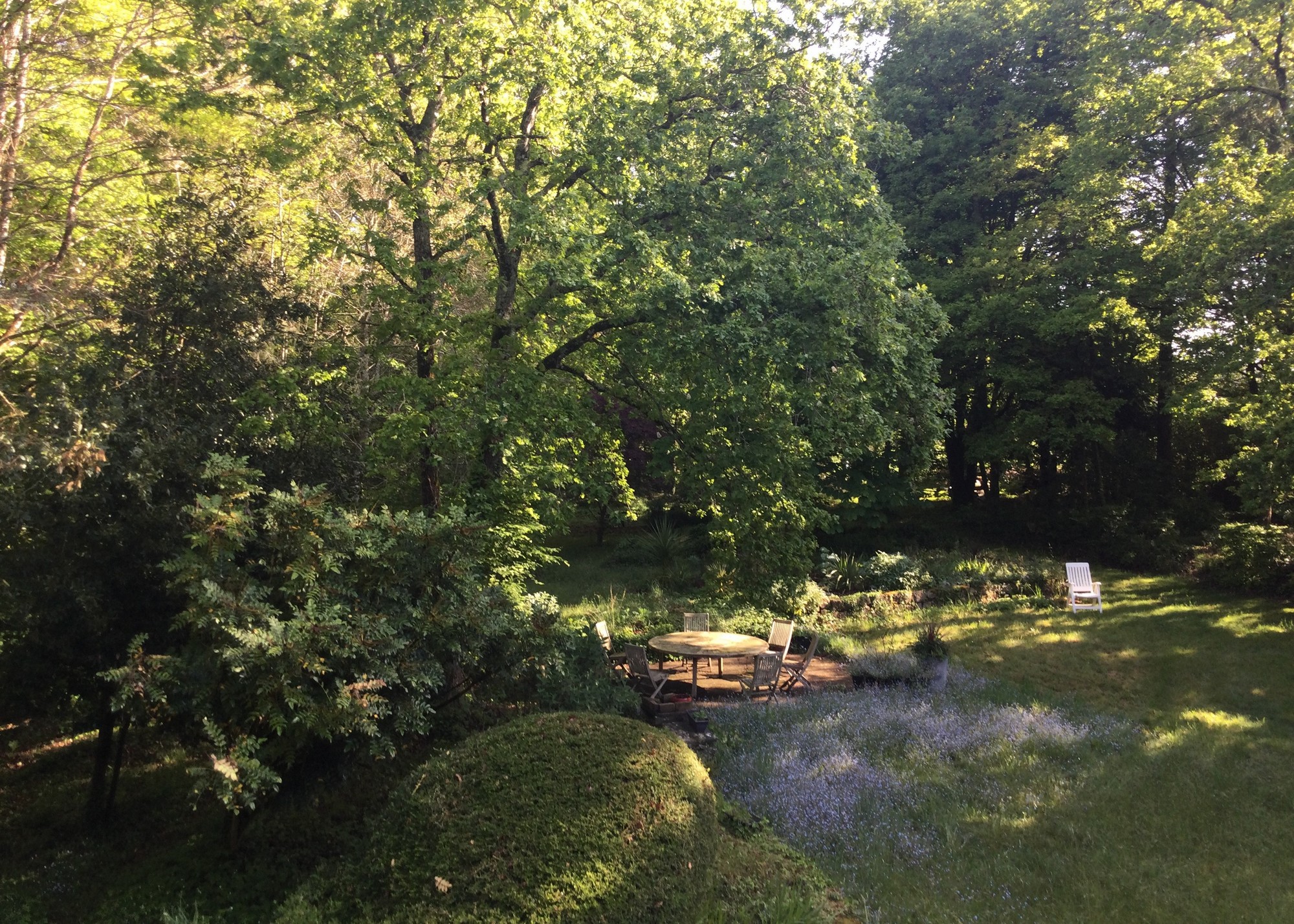 Chambre à louer proche Lorient bois et jardin 5